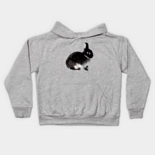 Black Otter Netherland Dwarf Rabbit Kids Hoodie